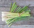 Lemongrass Face Scrub